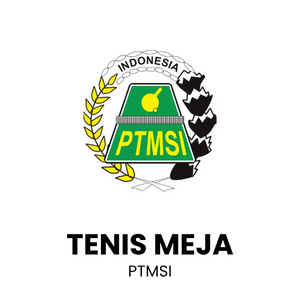 TENIS MEJA