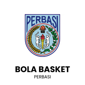 BOLA BASKET